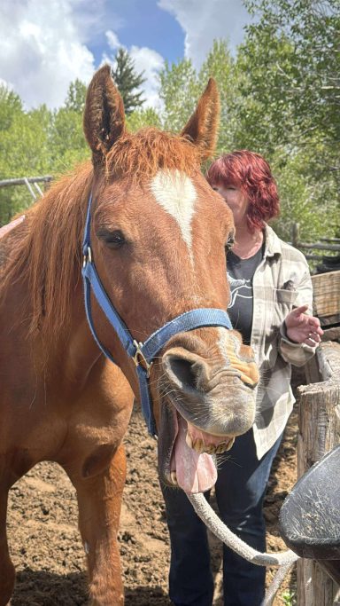 Reiki Energy Healing